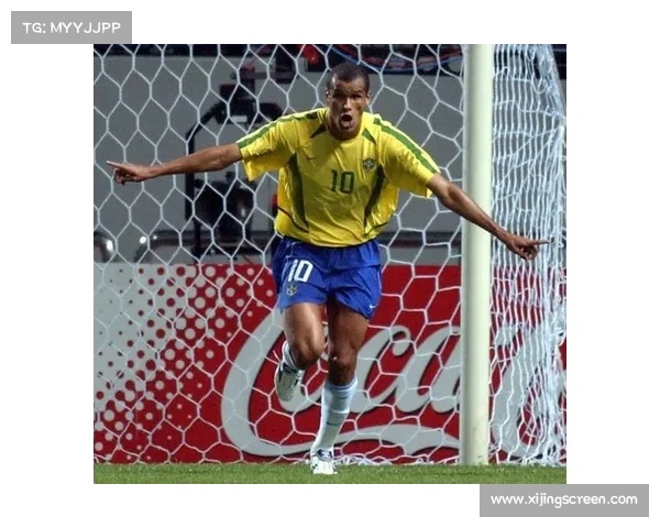 巴西足球联赛新赛季转会动态解析 新援加盟与球员离队趋势分析