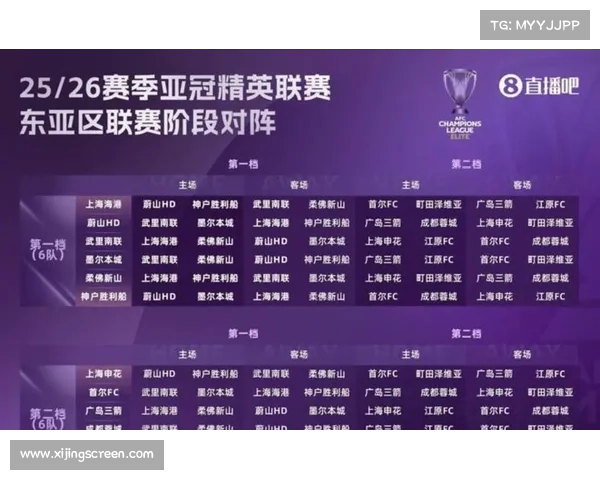 应对中超新赛季16队变动策略分析及球队调整措施探讨