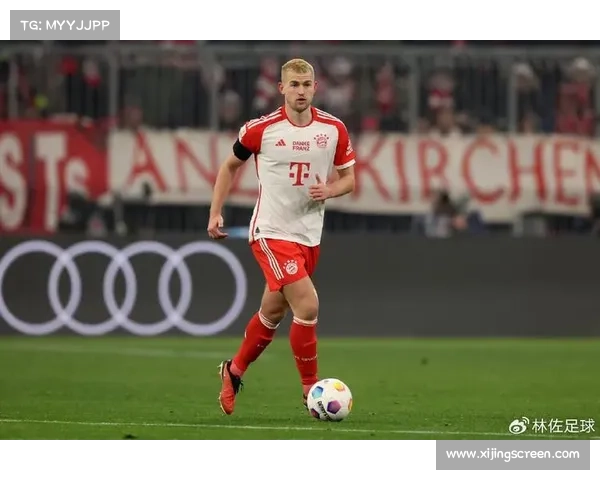 戴尔能力评估视角下拜仁未来发展趋势的关键挑战与机遇