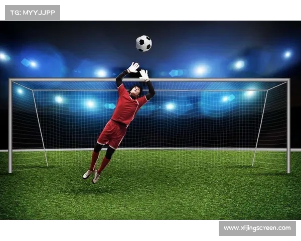 捷克足球历史上最强门将排行榜：谁是守门之王？