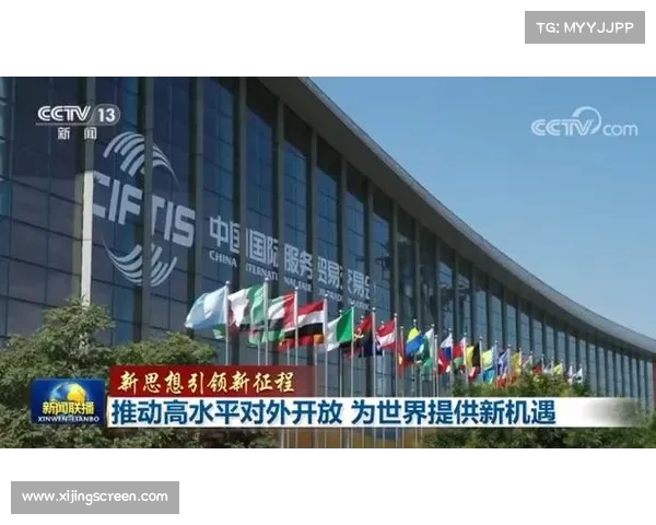 推动高水平对外开放的实用指南与策略探索如何促进国际合作与经济发展